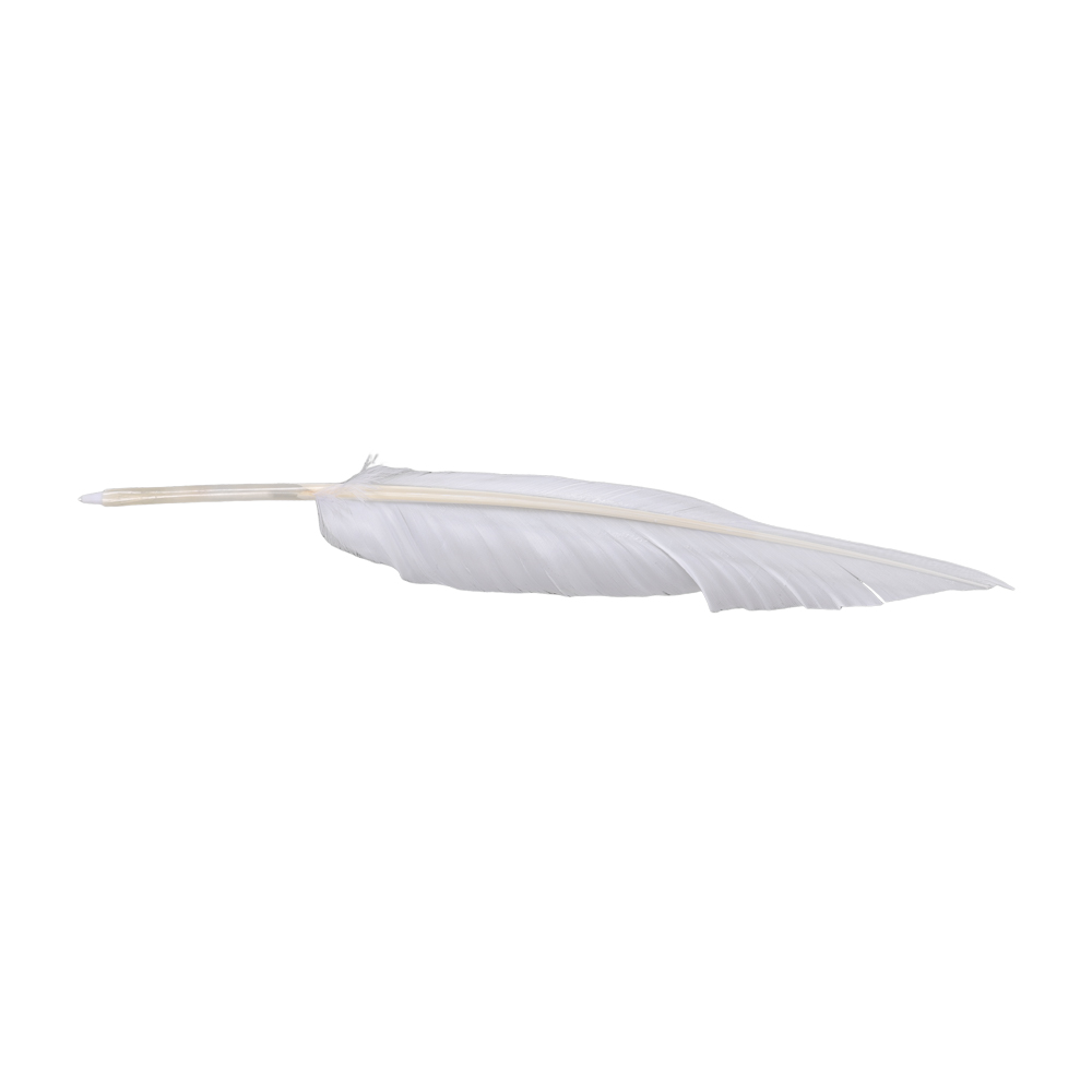 Anime Sousou of Frieren Cospla - مراجعة Frieren Cosplay Prop وسعره