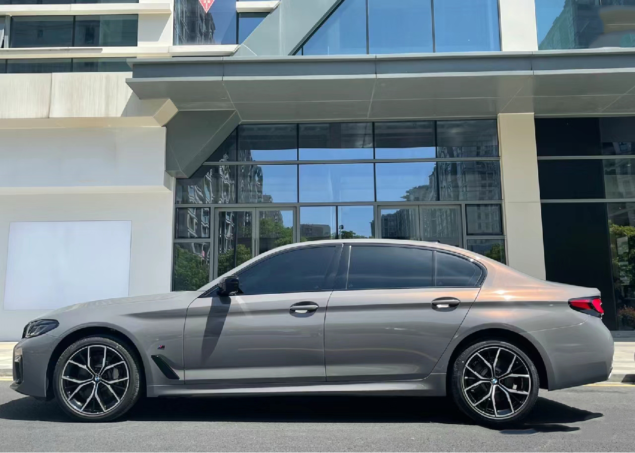 PET Backing Paint Protection S - مراجعة Metallic Spray Paint وسعره